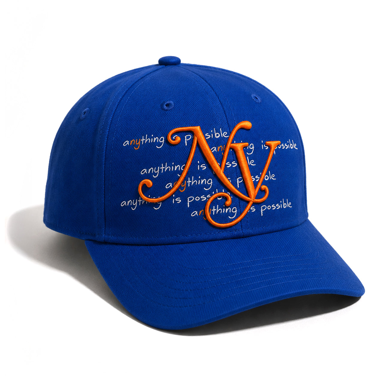 ANYTHING IS POSSIBLE - NY SNAPBACK