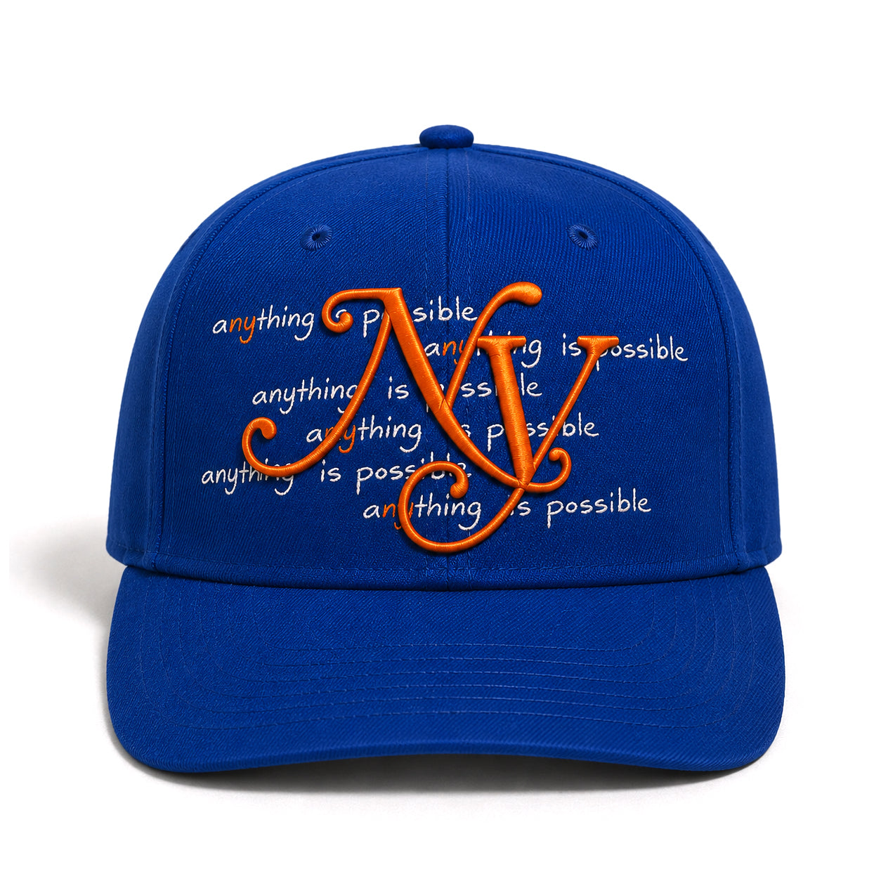 ANYTHING IS POSSIBLE - NY SNAPBACK